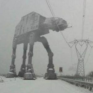 Meet your Posher, Esther